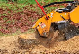 Tree and Shrub Care in Mullins, SC